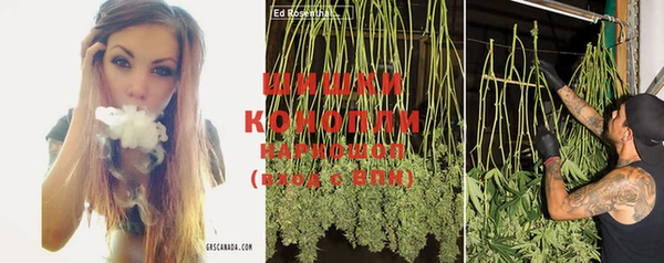 прущие крисы Корсаков