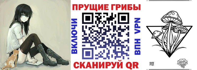 купить  цена  Петровск-Забайкальский  Галлюциногенные грибы прущие грибы 