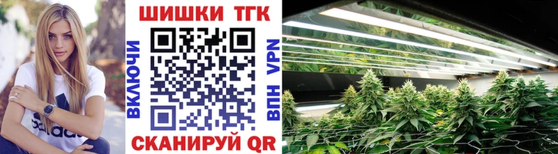 Каннабис индика  Петровск-Забайкальский 